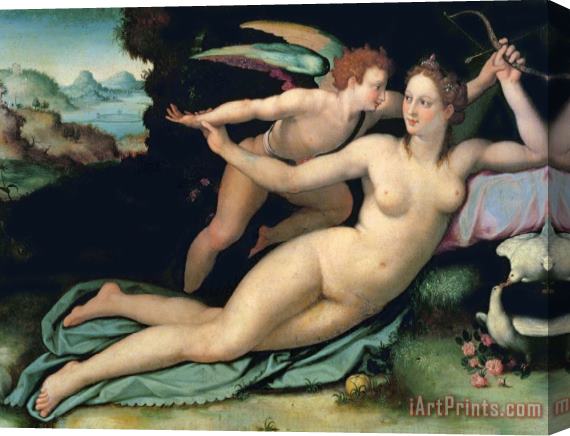 Alessandro Allori Venus and Cupid Stretched Canvas Painting / Canvas Art
