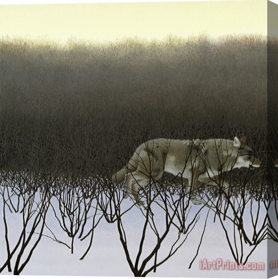 Alex Colville Coyotes And Alders Stretched Canvas Painting / Canvas Art