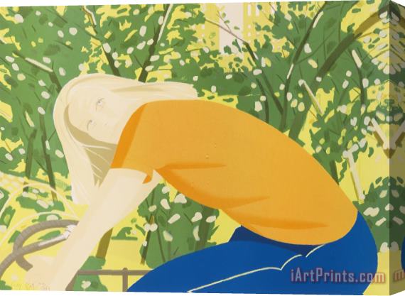 Alex Katz Bicycle Rider (maravell 130) Stretched Canvas Painting / Canvas Art