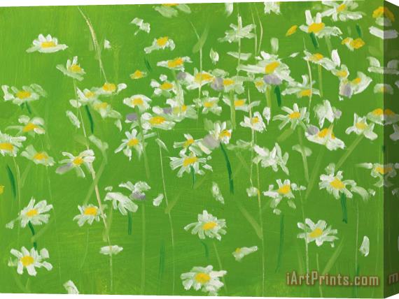 Alex Katz Daisies #2 Stretched Canvas Painting / Canvas Art