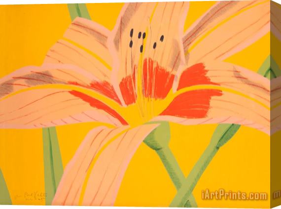 Alex Katz Day Lily 2, 1969 Stretched Canvas Painting / Canvas Art