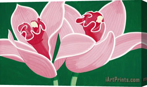 Alex Katz Glycidian Orchid Stretched Canvas Print / Canvas Art