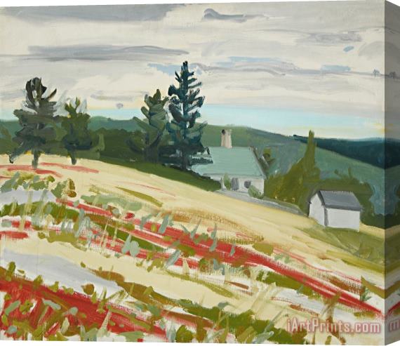 Alex Katz Landscape, Maine Stretched Canvas Print / Canvas Art