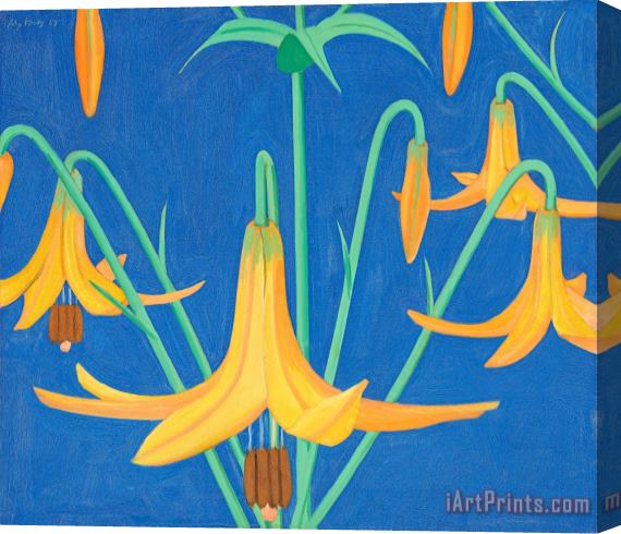 Alex Katz Marsh Lilies, 1967 Stretched Canvas Print / Canvas Art