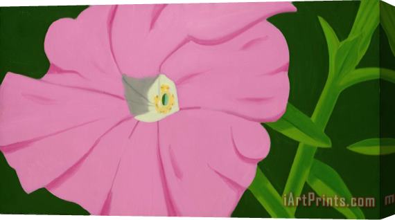 Alex Katz Pink Petunia #2 Stretched Canvas Print / Canvas Art