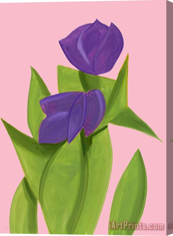 Alex Katz Purple Tulips 2, 2021 Stretched Canvas Print / Canvas Art