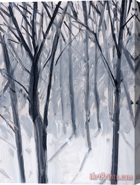 Alex Katz Study for Snow, 1993 Stretched Canvas Print / Canvas Art