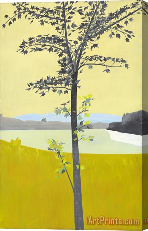 Alex Katz Swamp Maple (430), 1968 Stretched Canvas Print / Canvas Art