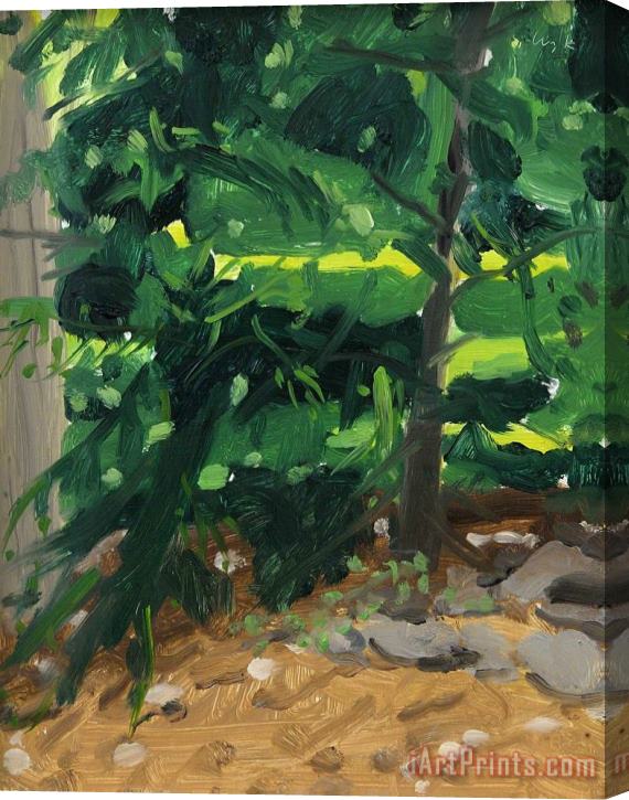 Alex Katz Trees, 2006 Stretched Canvas Print / Canvas Art