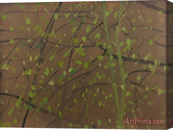 Alex Katz Untitled (oil), 2001 Stretched Canvas Painting / Canvas Art
