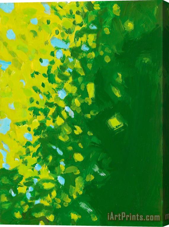 Alex Katz Yellow And Green, 2005 Stretched Canvas Print / Canvas Art