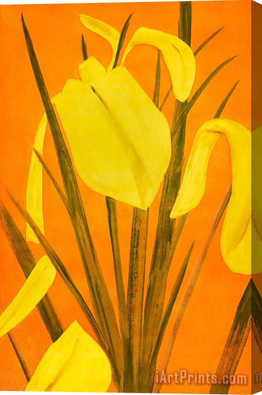 Alex Katz Yellow Flags 4, 2020 Stretched Canvas Print / Canvas Art