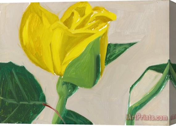 Alex Katz Yellow Rose Stretched Canvas Painting / Canvas Art