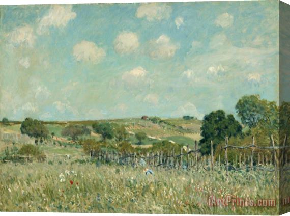 Alfred Sisley Meadow Stretched Canvas Print / Canvas Art