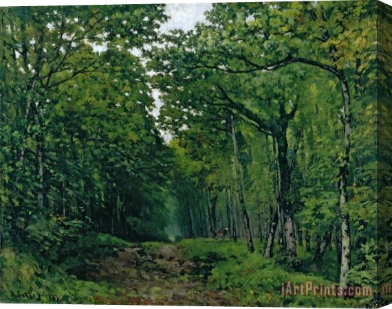 Alfred Sisley The Avenue of Chestnut Trees Stretched Canvas Painting / Canvas Art