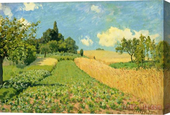 Alfred Sisley The Cornfield (near Argenteuil) Stretched Canvas Print / Canvas Art