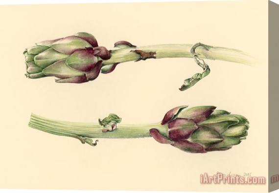 Alison Cooper Artichokes Stretched Canvas Painting / Canvas Art