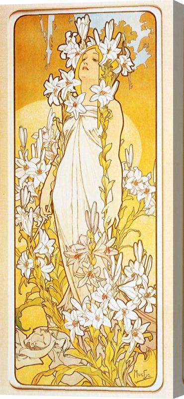 Alphonse Marie Mucha Lily Stretched Canvas Print / Canvas Art