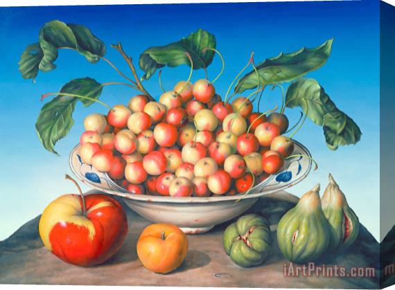 Amelia Kleiser Cherries in Delft bowl with red and yellow apple Stretched Canvas Print / Canvas Art