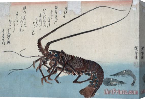 Ando Hiroshige Shrimp And Lobster Stretched Canvas Print / Canvas Art