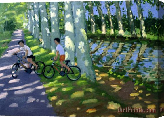 Andrew Macara Canal du Midi France Stretched Canvas Painting / Canvas Art