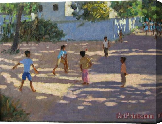 Andrew Macara Cochin Stretched Canvas Print / Canvas Art