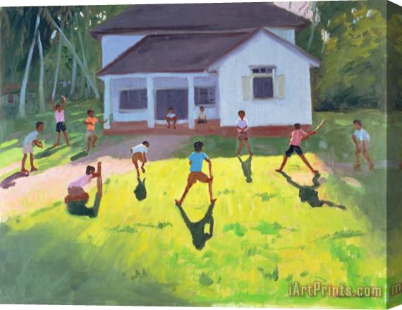 Andrew Macara Cricket Stretched Canvas Print / Canvas Art