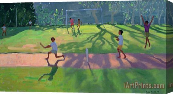 Andrew Macara Cricket Sri Lanka Stretched Canvas Print / Canvas Art