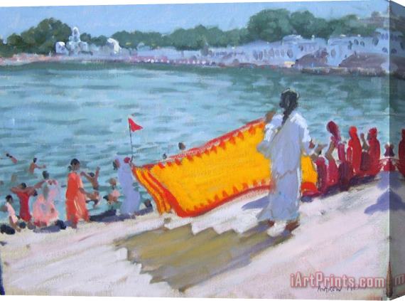 Andrew Macara Drying Sari Pushkar Stretched Canvas Print / Canvas Art