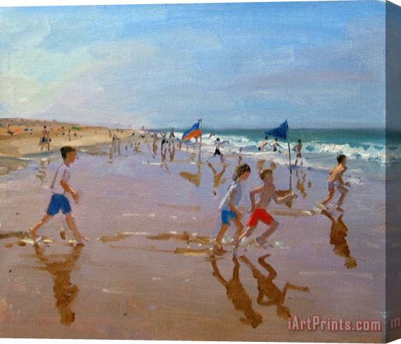 Andrew Macara Flags and reflections Stretched Canvas Print / Canvas Art