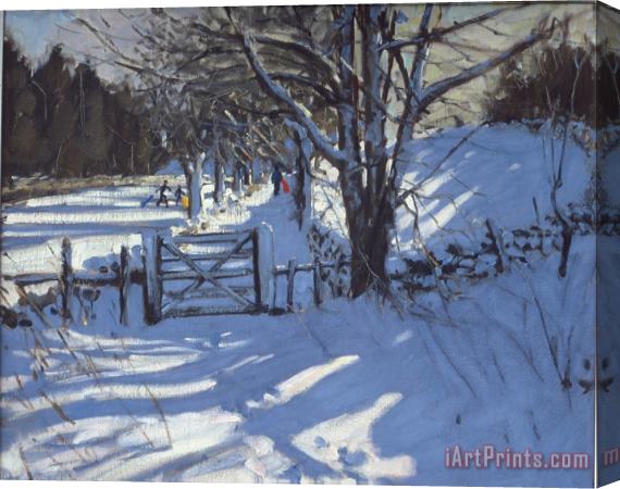 Andrew Macara Gate near Youlgreave Derbyshire Stretched Canvas Print / Canvas Art