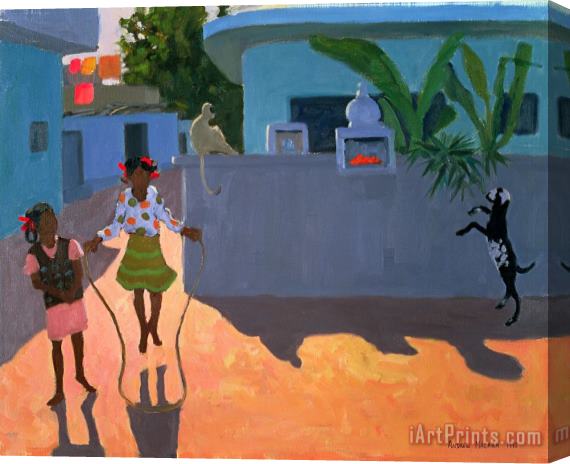 Andrew Macara Girl Skipping Stretched Canvas Print / Canvas Art