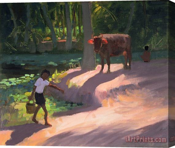 Andrew Macara Kerala Backwaters Stretched Canvas Painting / Canvas Art