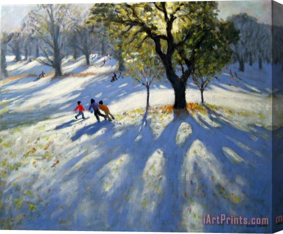 Andrew Macara Markeaton Park early snow Stretched Canvas Print / Canvas Art