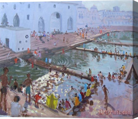 Andrew Macara Pushkar ghats Rajasthan Stretched Canvas Painting / Canvas Art