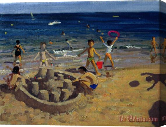 Andrew Macara Sandcastle Stretched Canvas Print / Canvas Art