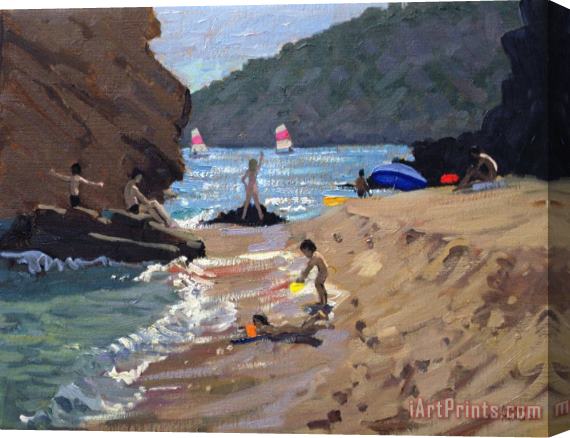 Andrew Macara Summer in Spain Stretched Canvas Painting / Canvas Art