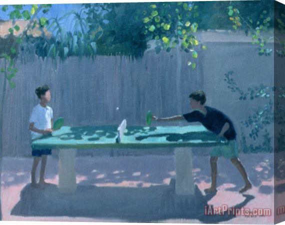 Andrew Macara Table Tennis Stretched Canvas Painting / Canvas Art
