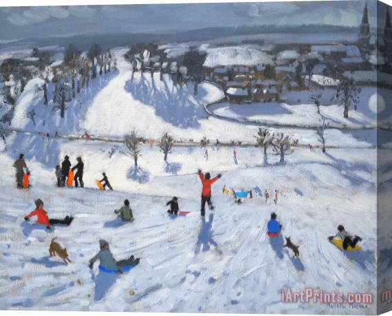 Andrew Macara Winter Fun Stretched Canvas Print / Canvas Art