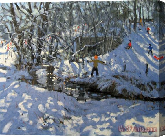 Andrew Macara Winter Stream Stretched Canvas Print / Canvas Art