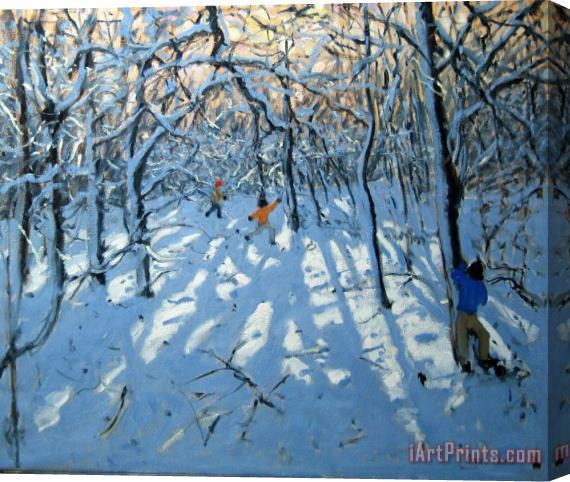 Andrew Macara Winter woodland near Newhaven Derbyshire Stretched Canvas Print / Canvas Art