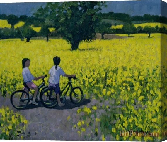 Andrew Macara Yellow Field Stretched Canvas Print / Canvas Art