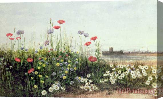 Andrew Nicholl Bank of Summer Flowers Stretched Canvas Painting / Canvas Art