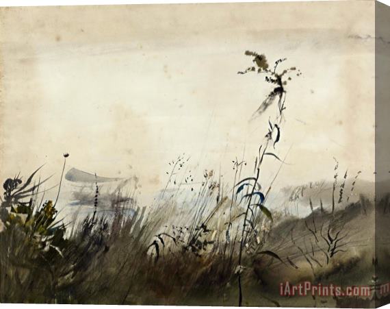 andrew wyeth A River Fog 1950 Stretched Canvas Print / Canvas Art
