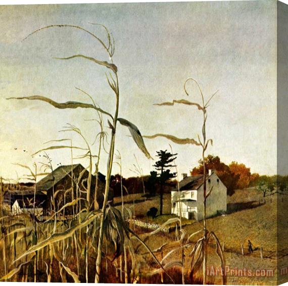 andrew wyeth Autumn Cornfield October 1 1950 Stretched Canvas Painting / Canvas Art
