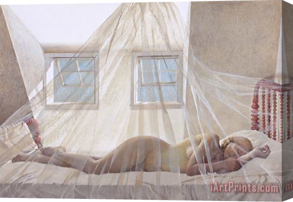 andrew wyeth Day Dream 1980 Stretched Canvas Print / Canvas Art