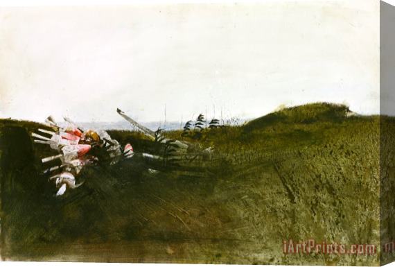 andrew wyeth Field Sparrow 1968 Stretched Canvas Print / Canvas Art
