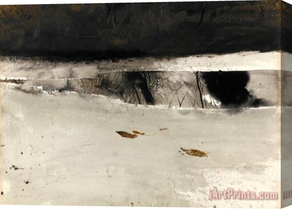 andrew wyeth Ice Pool 1969 Stretched Canvas Print / Canvas Art
