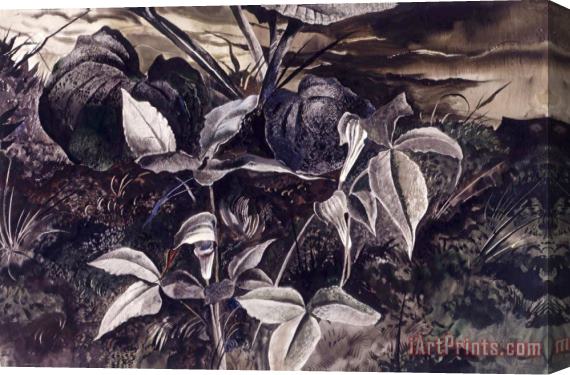 andrew wyeth Jack in The Pulpit Stretched Canvas Print / Canvas Art