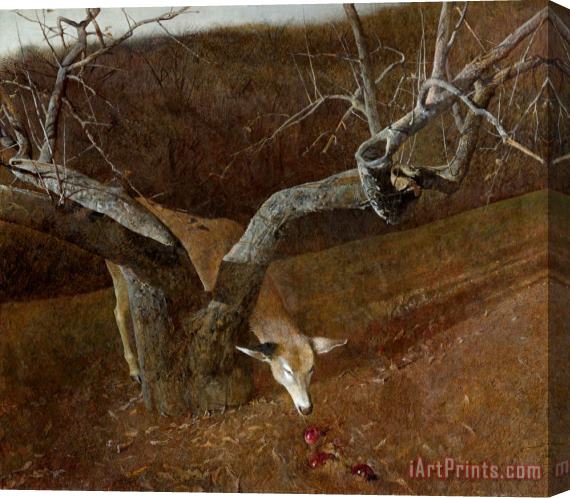 andrew wyeth Jacklight 1980 Stretched Canvas Painting / Canvas Art